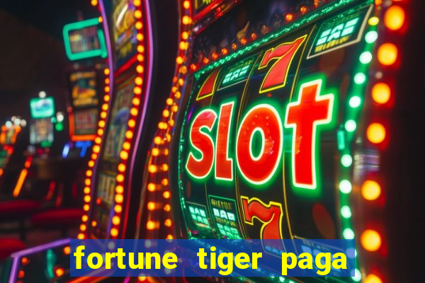 fortune tiger paga de madrugada